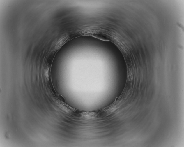 X0000095110334200712211326