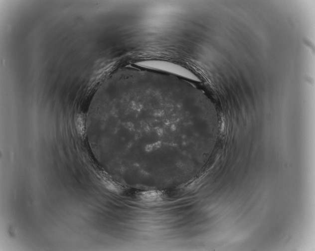 X0000095110335200712211326