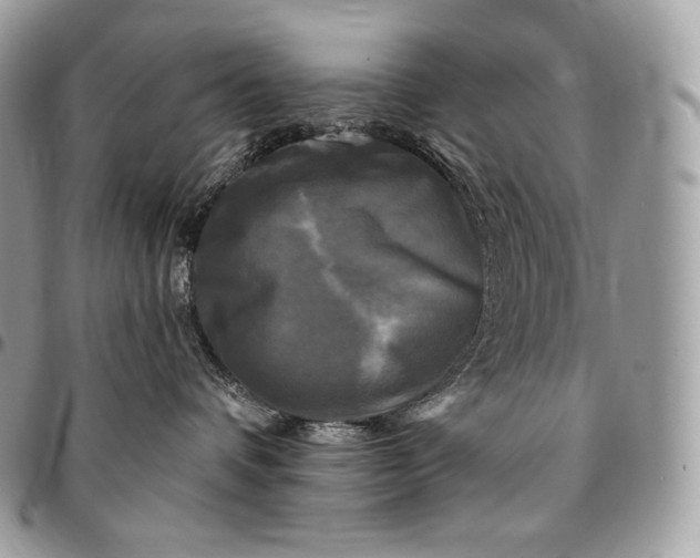 X0000095110336200712211326