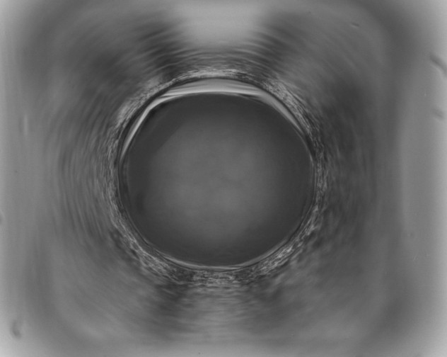 X0000095110337200712211325