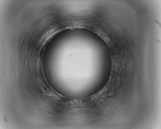 X0000095110338200712211325