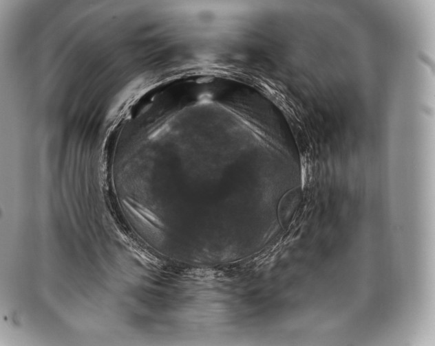 X0000095110339200712211325