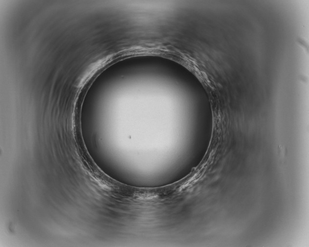 X0000095110340200712211325