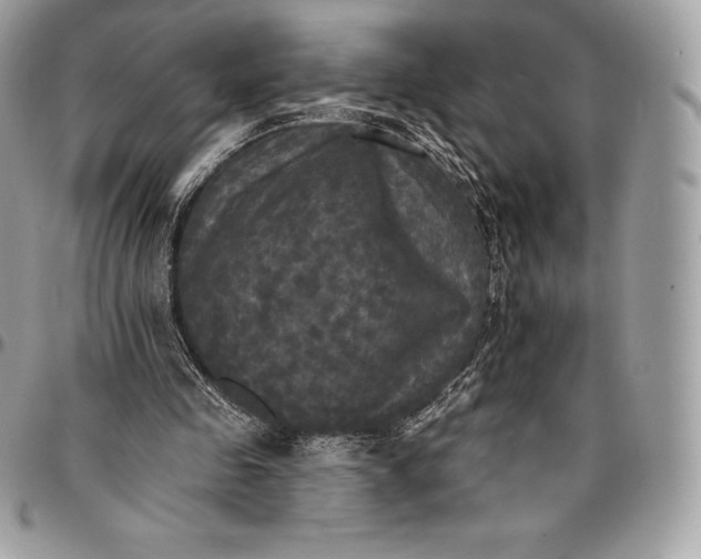 X0000095110341200712211325