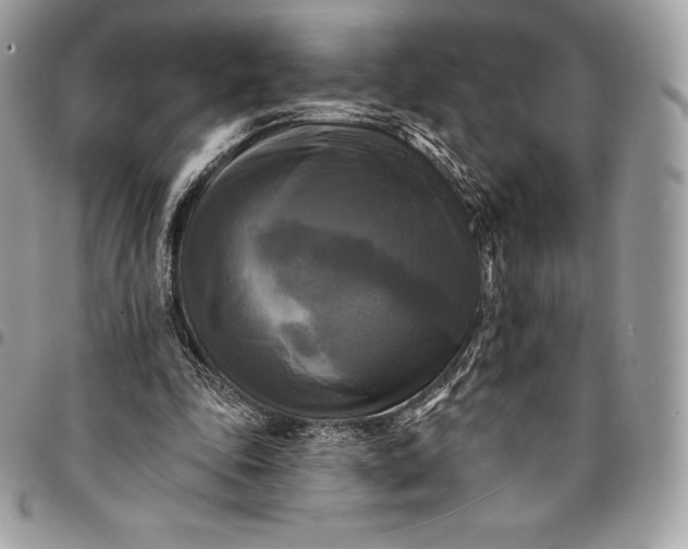 X0000095110343200712211325