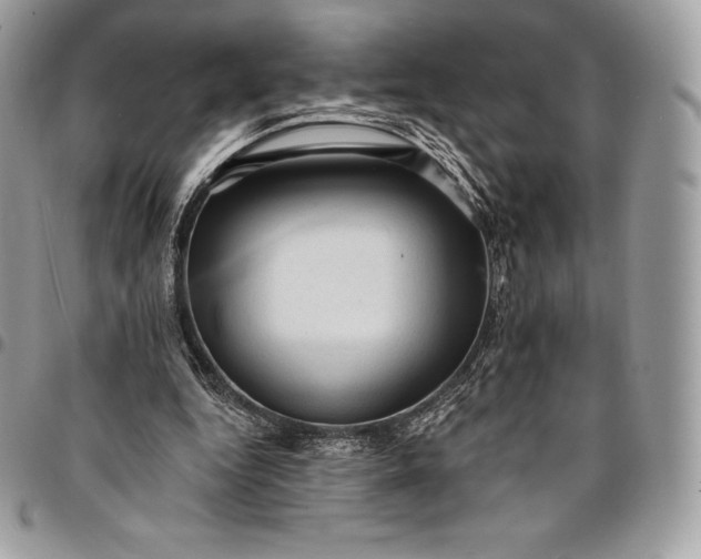 X0000095110344200712211325