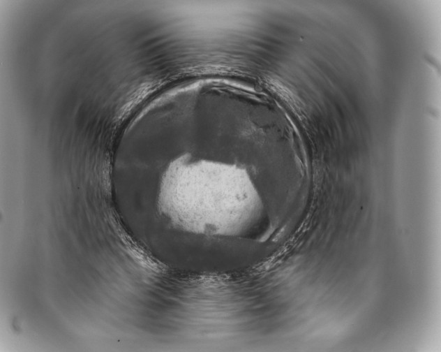 X0000095110345200712211325