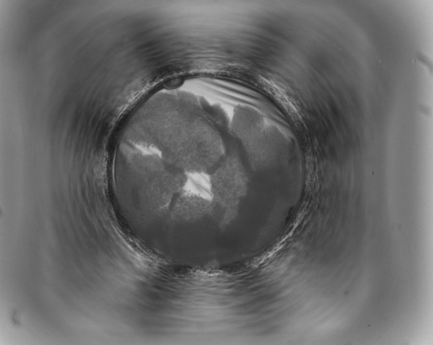 X0000095110346200712211325