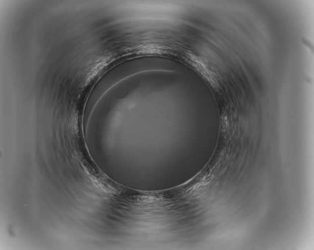 X0000095110347200712211325