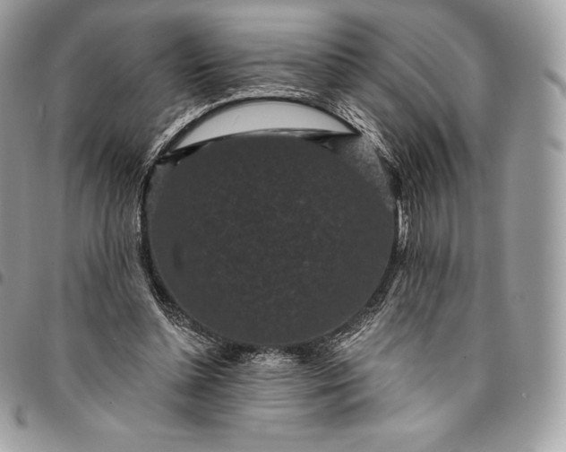 X0000095110348200712211325