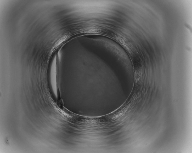 X0000095110349200712211325