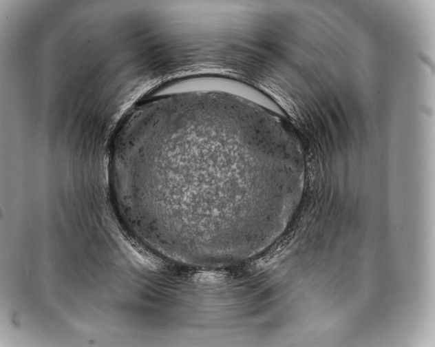 X0000095110350200712211325