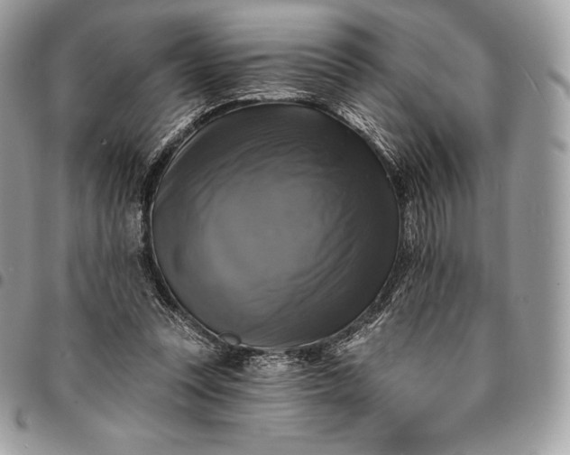 X0000095110351200712211326