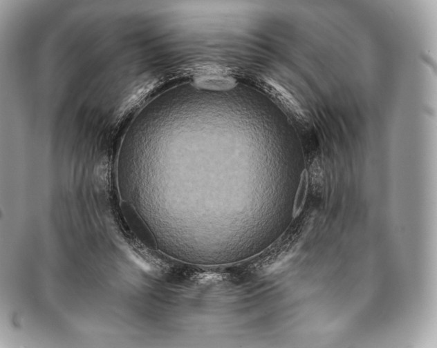 X0000095110352200712211326