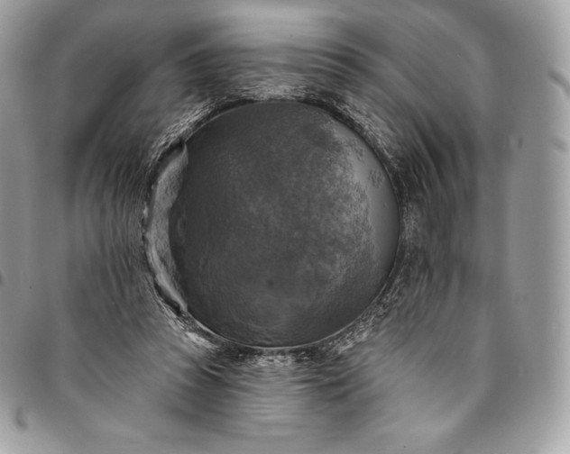 X0000095110353200712211326