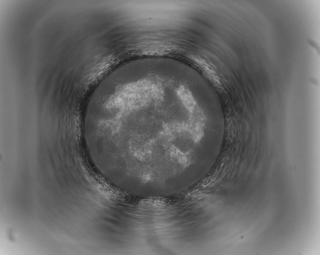 X0000095110354200712211326