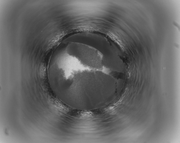 X0000095110355200712211326