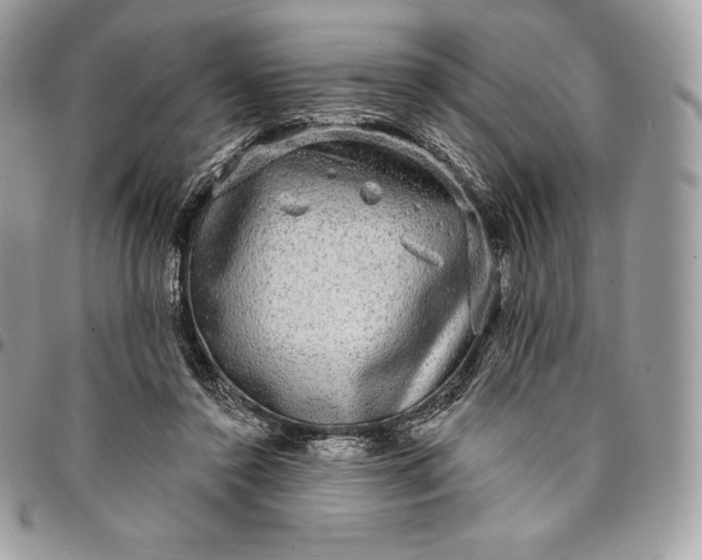 X0000095110356200712211326