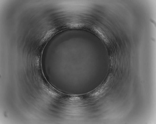 X0000095110357200712211326