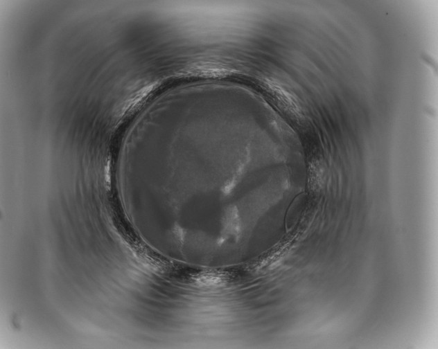 X0000095110358200712211326