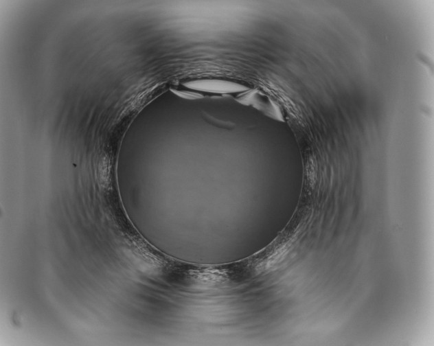 X0000095110359200712211326