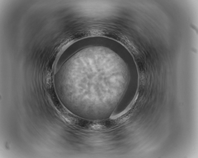 X0000095110360200712211326