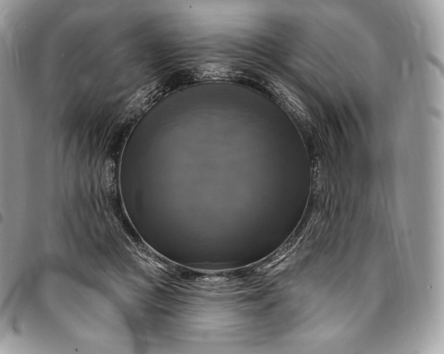 X0000095110361200712211326