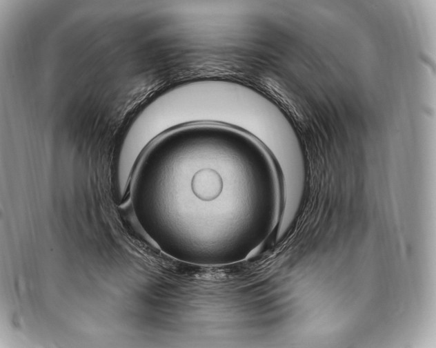 X0000095110362200712211326