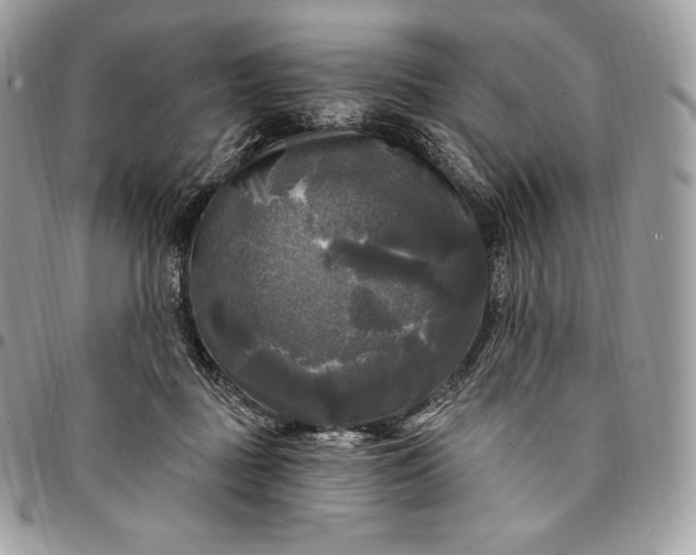 X0000095110363200712211326