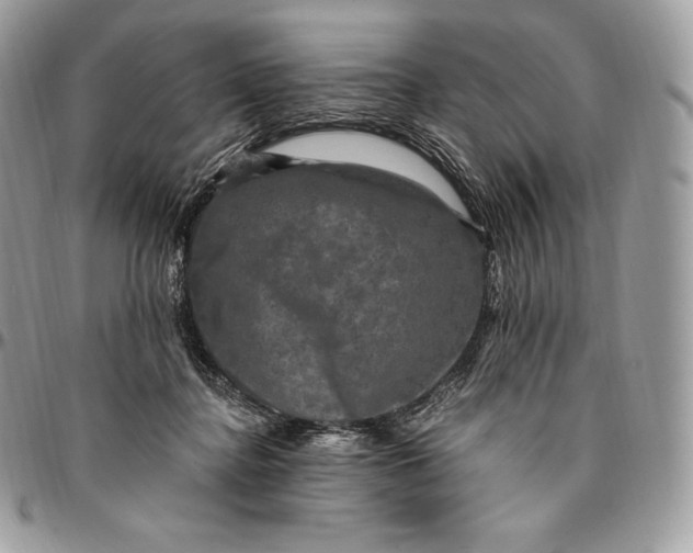 X0000095110364200712211326