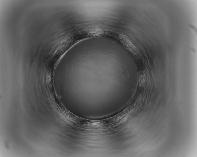 X0000095110365200712211326