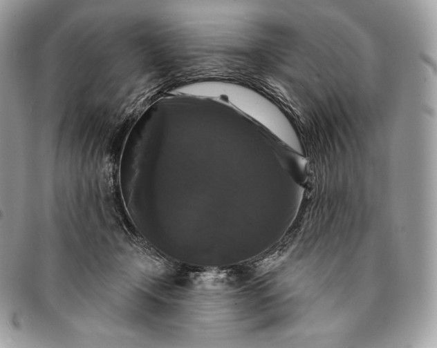 X0000095110366200712211326