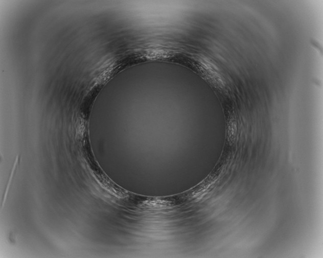 X0000095110367200712211326