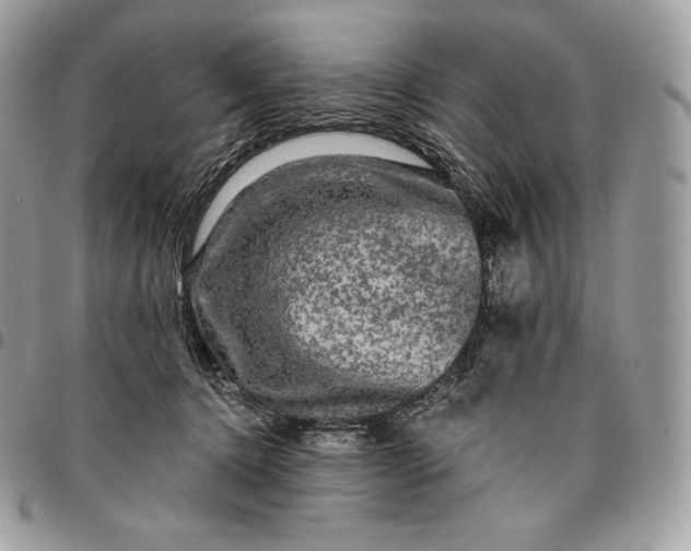 X0000095110368200712211326