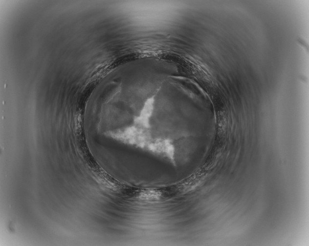 X0000095110369200712211326