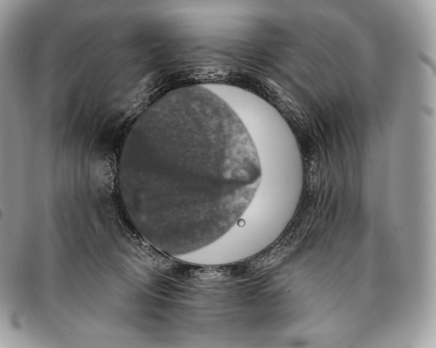 X0000095110370200712211326