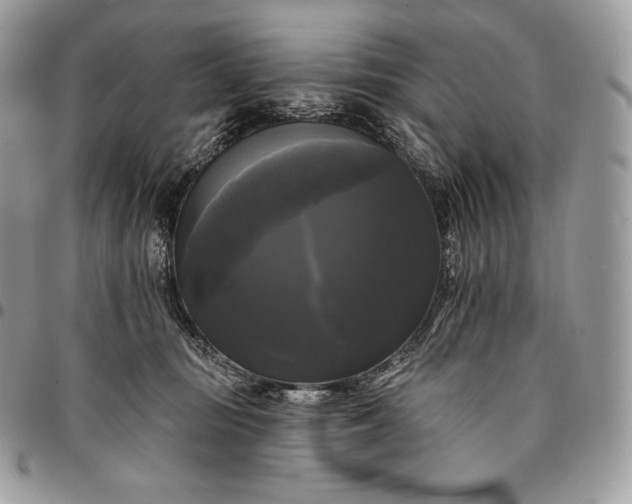 X0000095110371200712211326