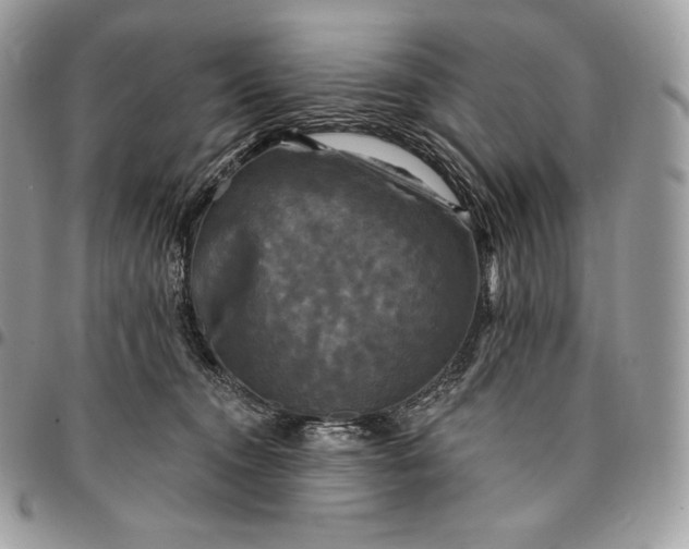 X0000095110372200712211326