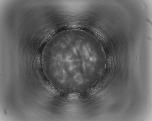 X0000095110373200712211326