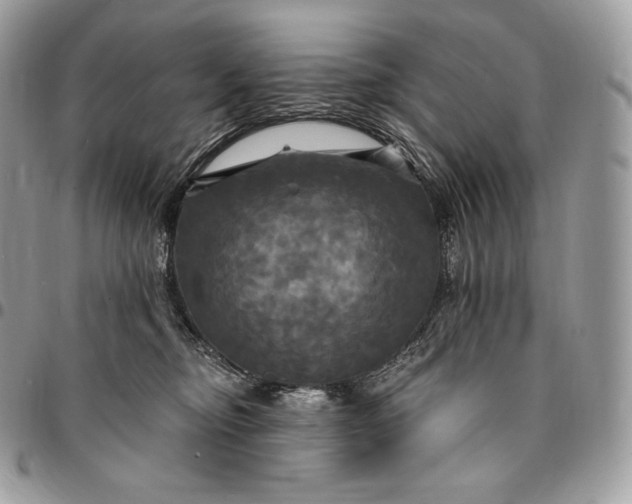 X0000095110374200712211326