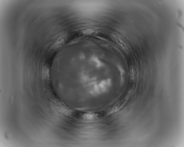 X0000095110375200712211326