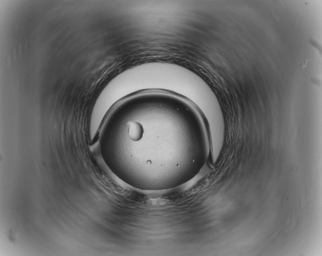 X0000095110376200712211326