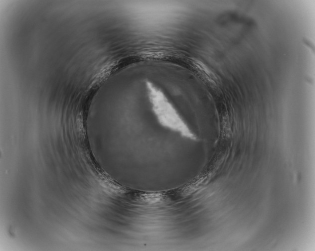 X0000095110377200712211326