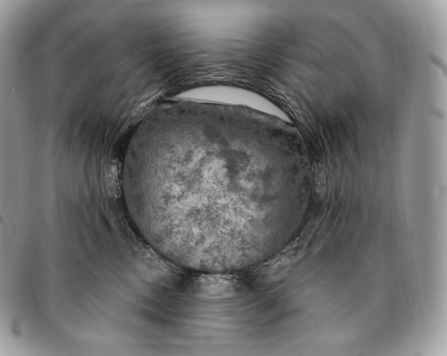 X0000095110378200712211326