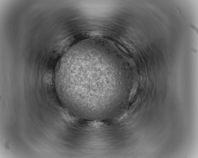 X0000095110379200712211326