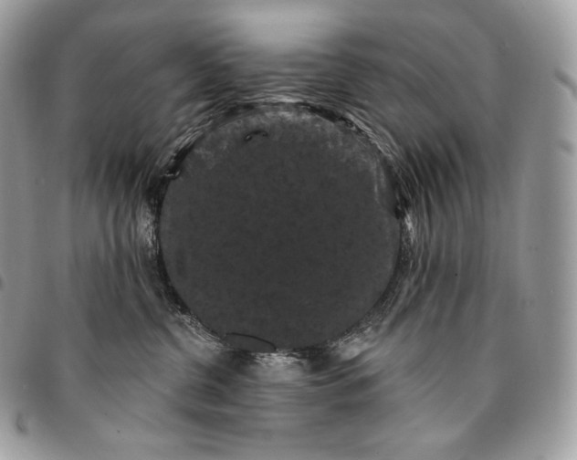 X0000095110380200712211326