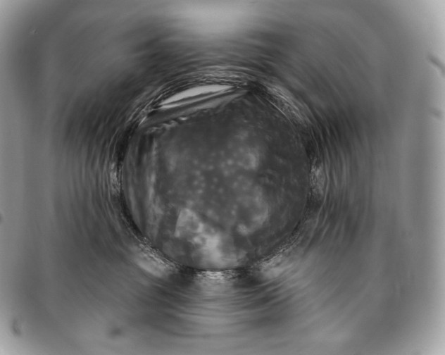 X0000095110381200712211326