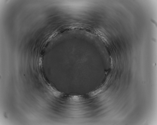 X0000095110382200712211326