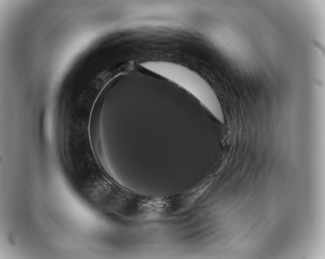 X0000095110383200712211326