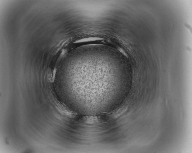 X0000095110384200712211326